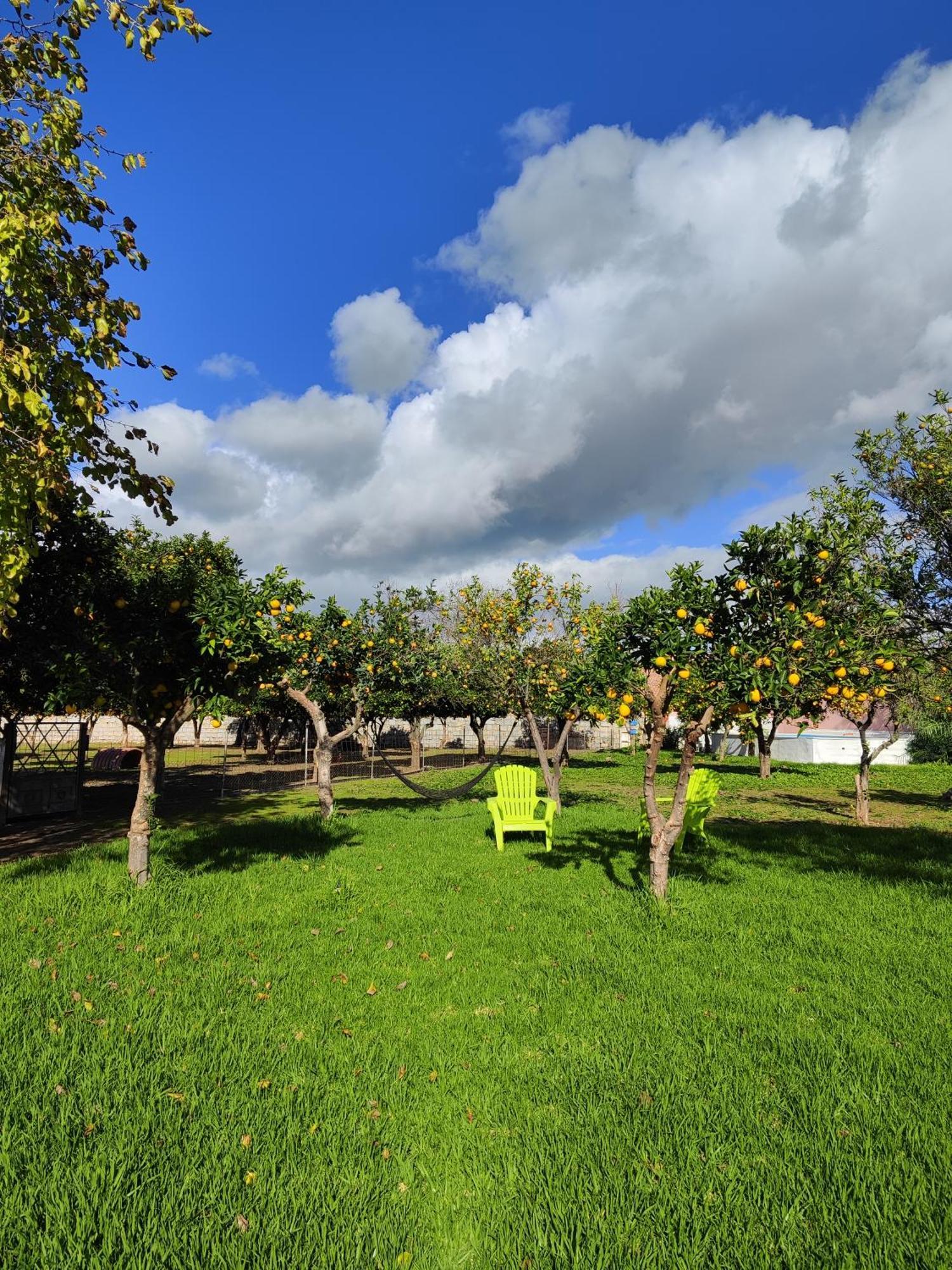 Quinta Da Ponte Hortas 3 *