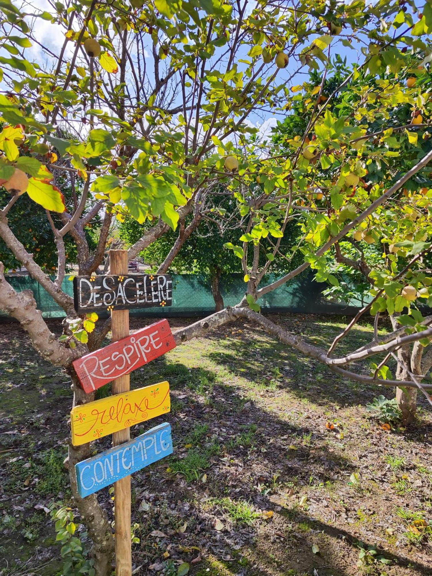 Quinta Da Ponte Hortas 3 Holiday home *
