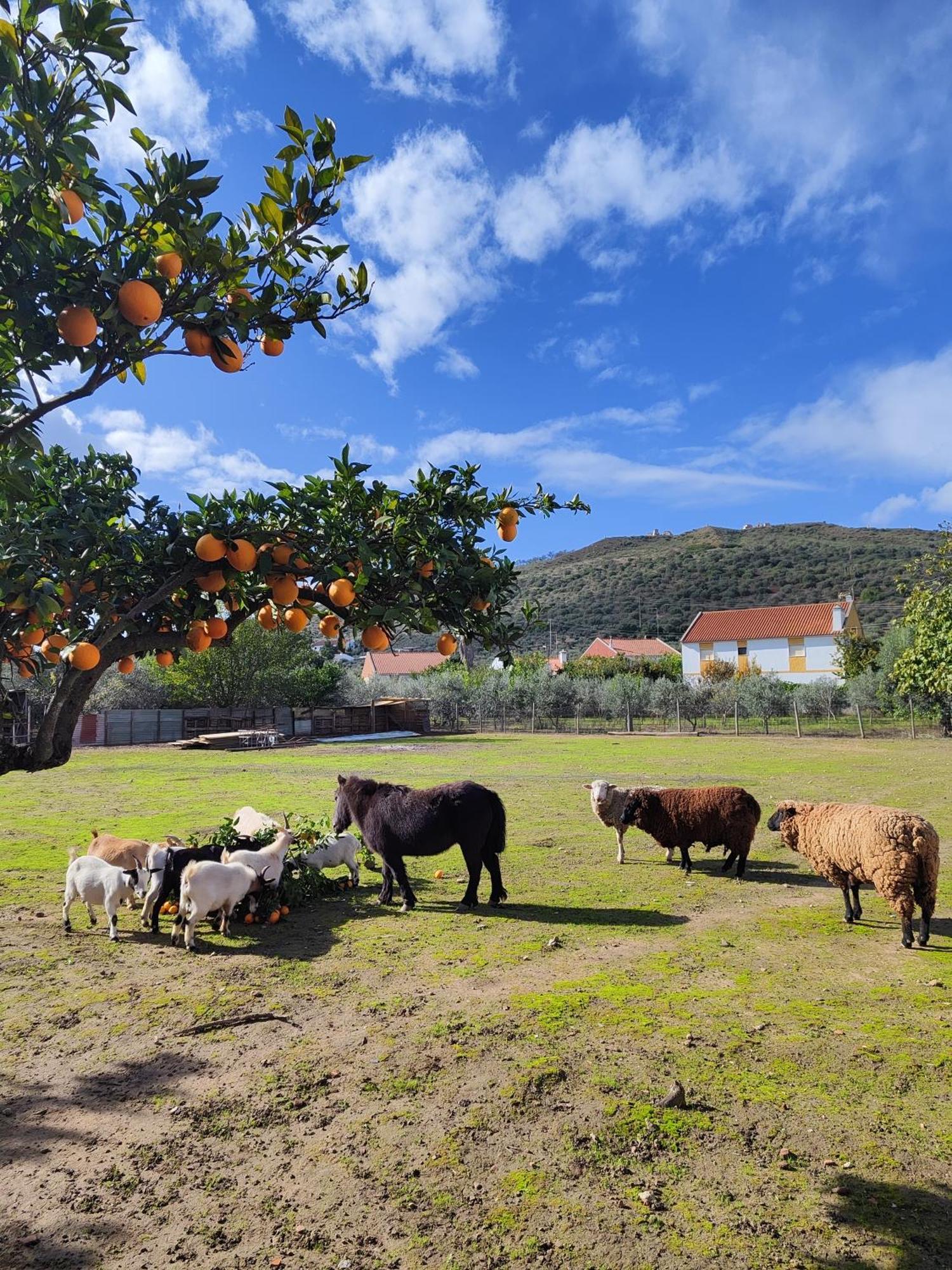 Holiday home Quinta Da Ponte Hortas 3 *