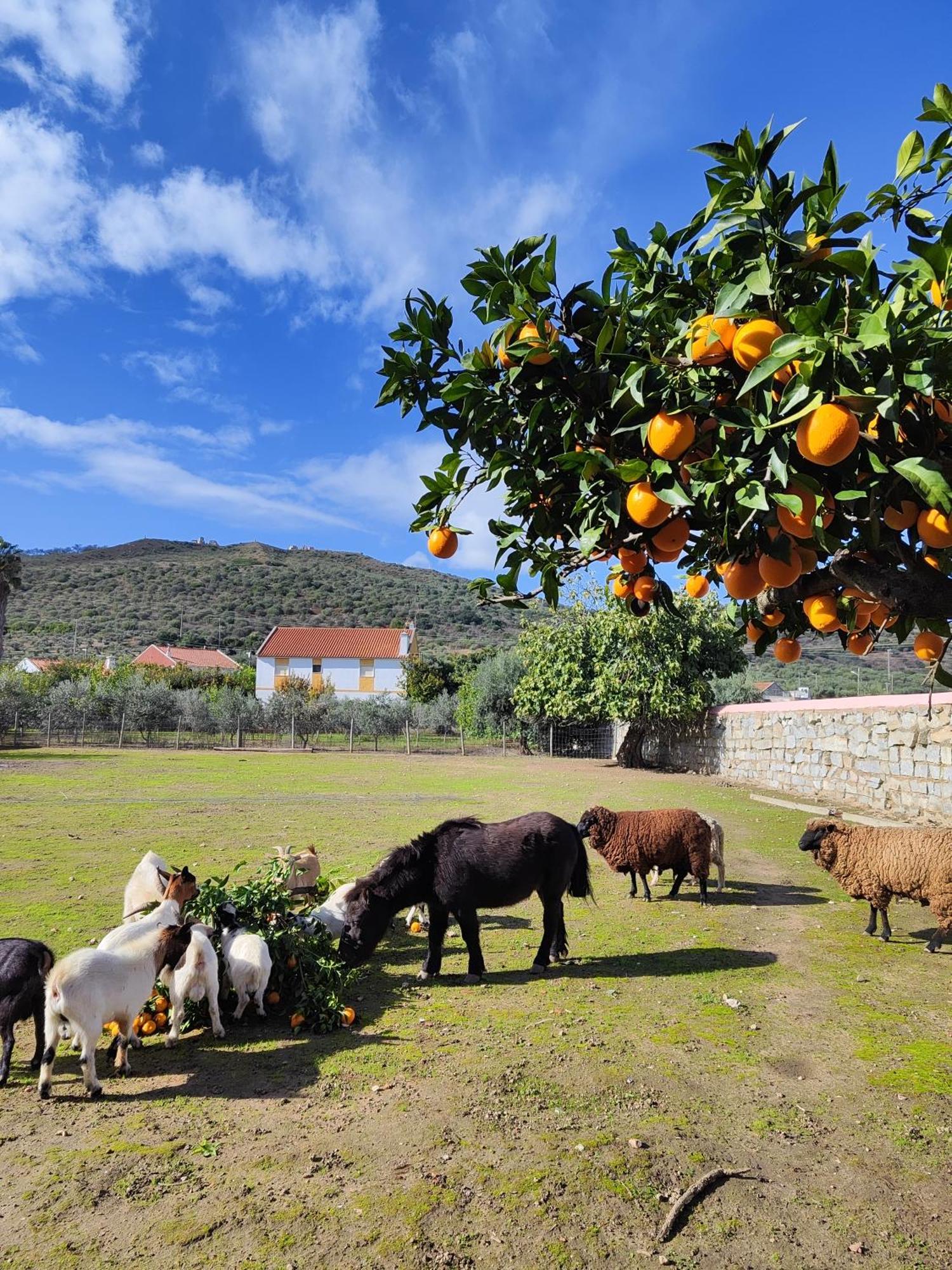 Holiday home Quinta Da Ponte Hortas 3 *